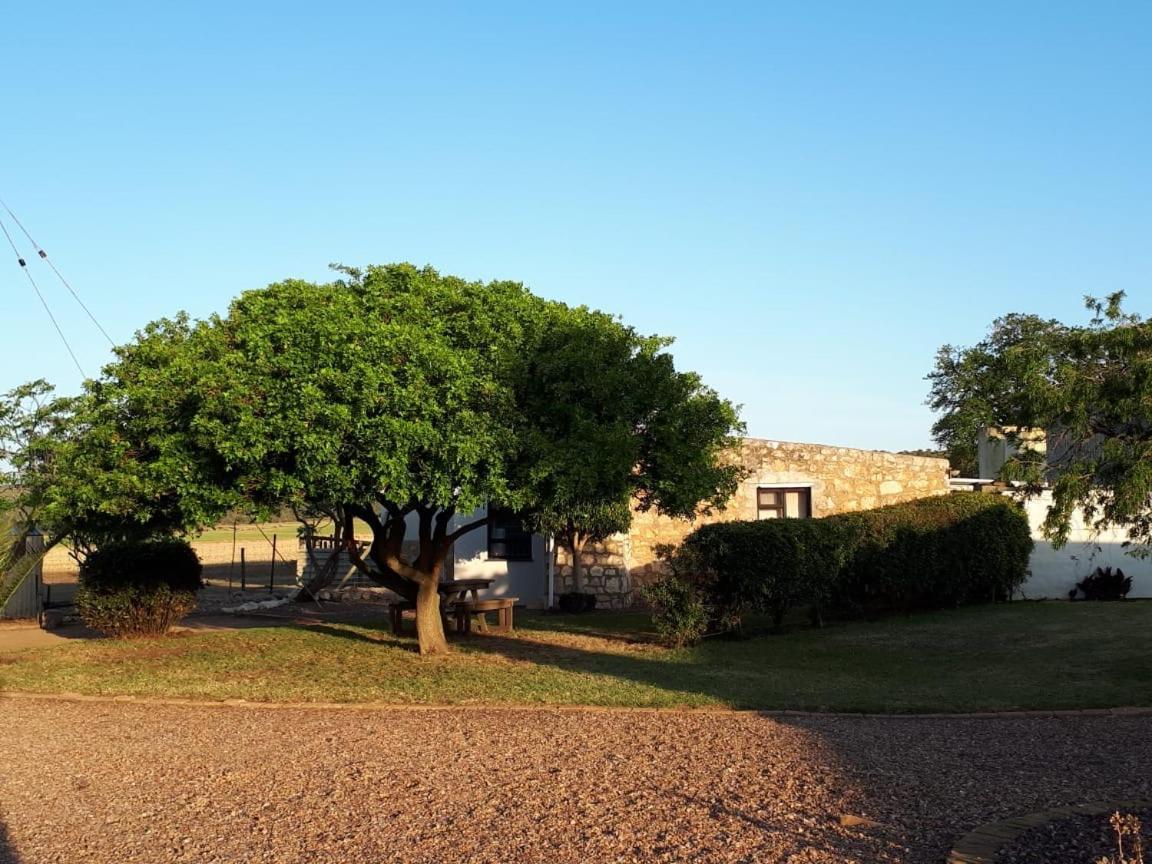 Die Buitekamer Bredasdorp Exteriér fotografie