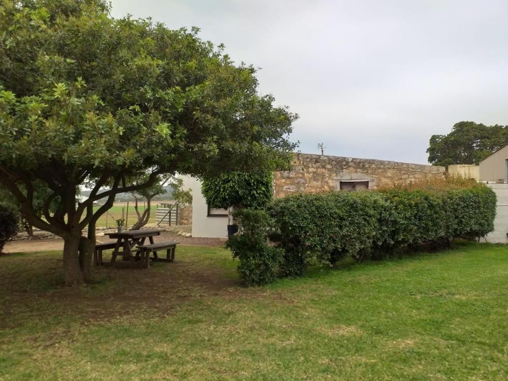 Die Buitekamer Bredasdorp Exteriér fotografie