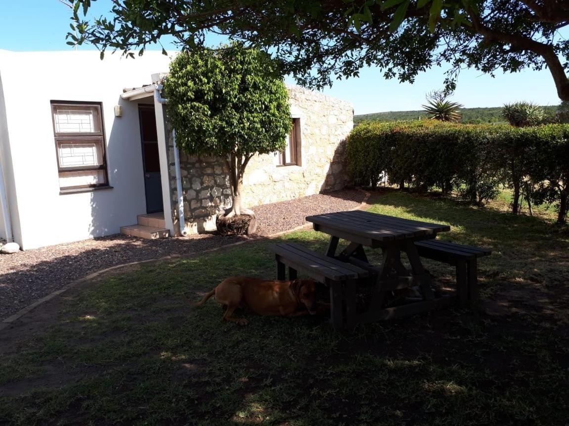 Die Buitekamer Bredasdorp Exteriér fotografie